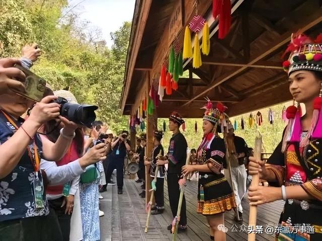 华媒走进西双版纳原始森林公园：看孔雀飞舞 访爱伲山寨 探原始森林