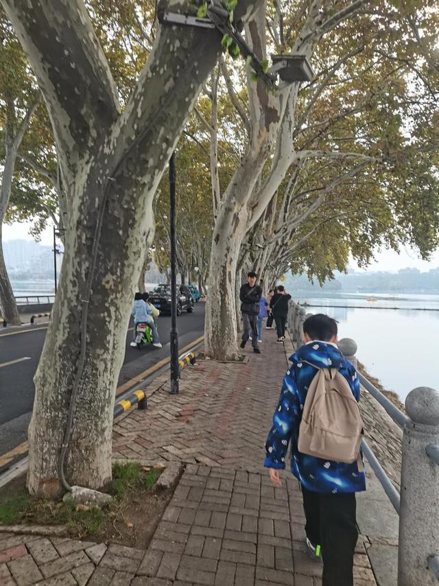 偷得浮生半日游九江