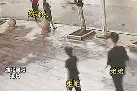 果然好身手！弟弟刚被警校录取，陪姐姐散步时，顺手抓了一个小偷图片