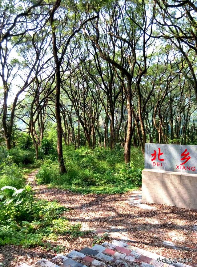 樟语（散文诗）