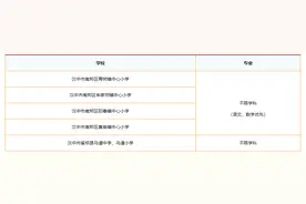 2024年汉中市南郑区、留坝县部分学校补充招聘银龄讲学教师公告图片