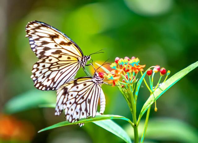 马上来“临” “沂”起过年｜爬一座沂蒙的山