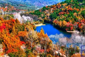 ​【视觉庆阳】霜叶斑斓胜春花 秋景绚丽醉云霞图片