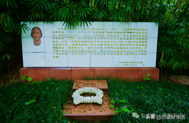 北碚公园竟是"大熊猫"命名地，原来藏着这么多秘密