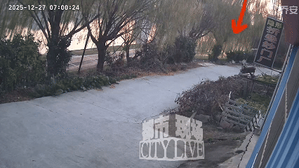 别让人生，沦为一张遗憾清单！