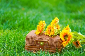 会"装糊涂"的妻子，才是真聪明！图片