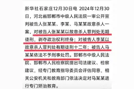 邯郸初中生一审宣判！一个无期一个12年，还有一个不用担刑事责任图片