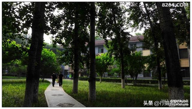 山东行游影记（14）—济南山东大学（一）