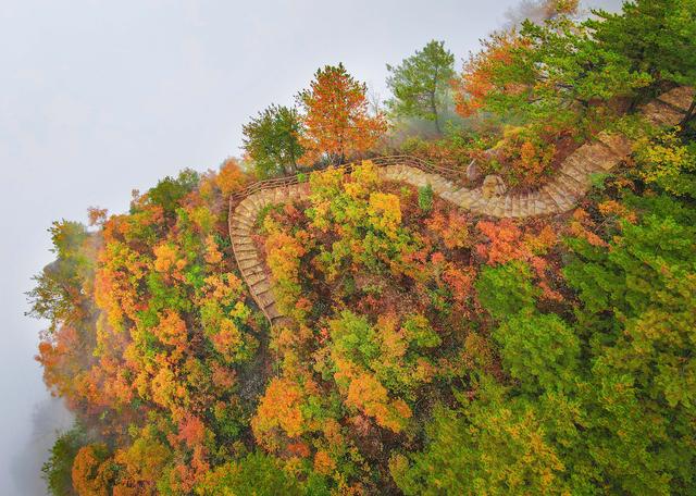 半山云海半山秋色