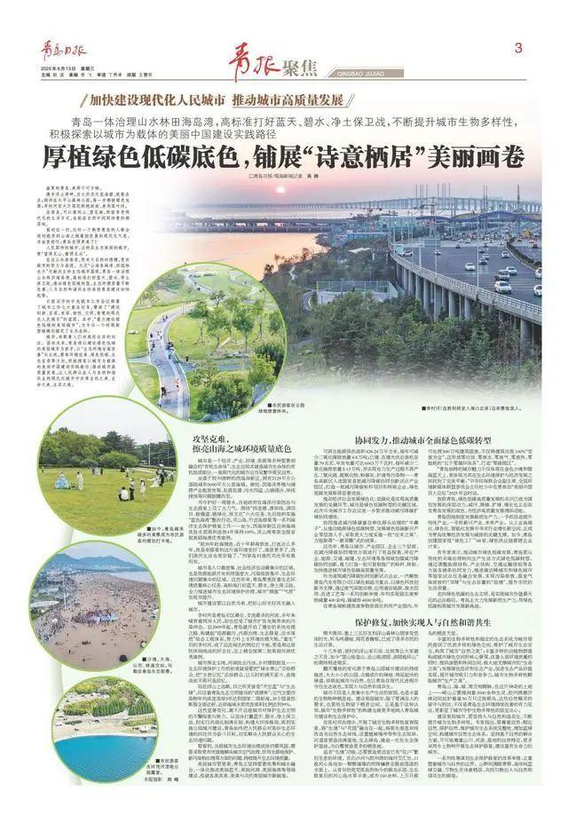 【绿色打卡地】望得见山、看得见水！青岛一体治理山水林田海岛湾，铺展“诗意栖居”美丽画卷