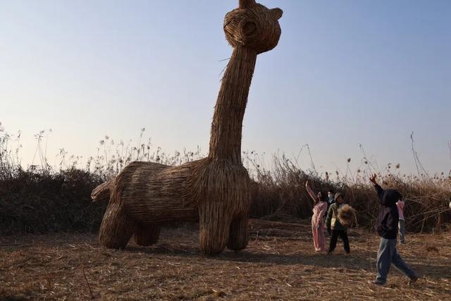 岳阳人的朋友圈刷爆了！免费开放至明年1月···