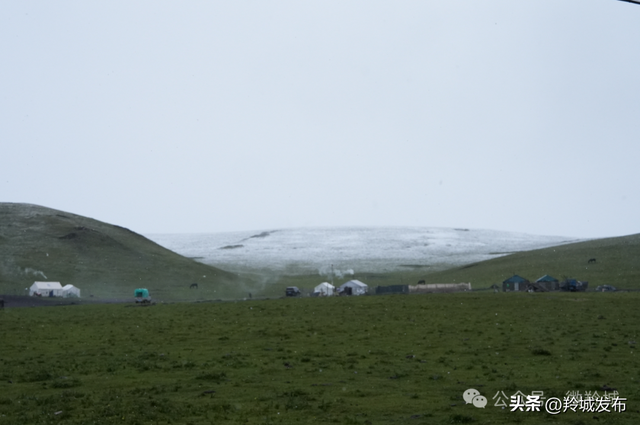 美仁初雪，八月飞白！邂逅羚城最意外的浪漫