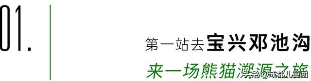 常被路过的雅安，值得专门去玩一趟