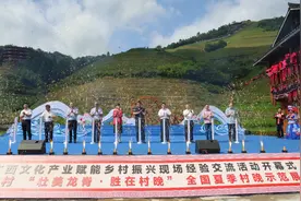 广西文化产业赋能乡村振兴现场经验交流活动在桂林龙胜举行图片