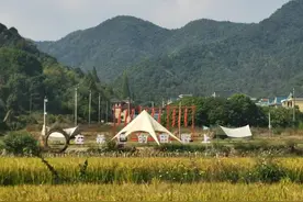 浙江省杭州市萧山区楼塔镇：山水之间“侨”见未来——楼塔镇侨助共富创新实践纪实图片