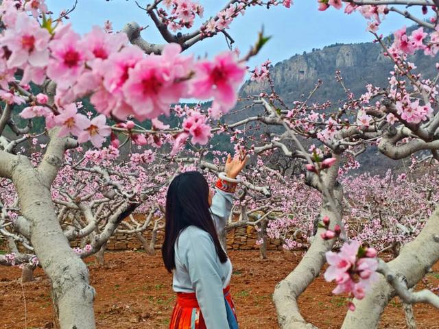 春风裂谷·花漾寻野 | 清明假期，熊耳山邀你共赴一场江湖侠梦！