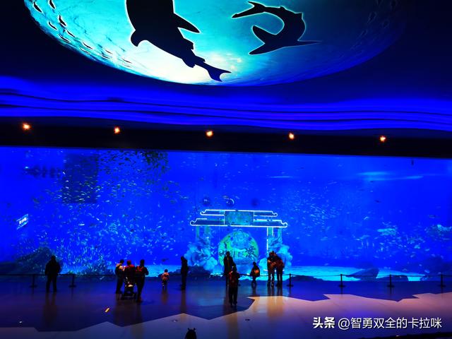 【上海亲子游三天两晚：奥特曼乐园+天文馆+黄浦江实测避坑】