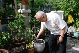 北京62岁大爷，每月退休金2500，这5款白酒是他的最爱，好喝实惠图片