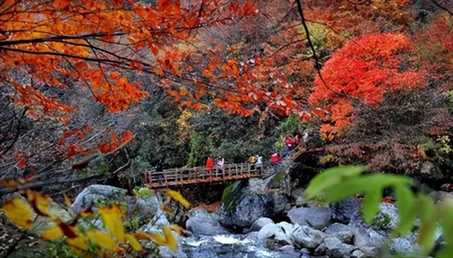 龚自荣：麦摞山