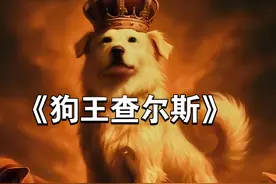 走红世界土狗竟是世界级猎犬，主人已回应：降生后便与寻常狗不同图片