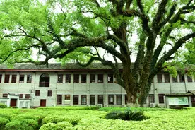 十天干口诀之：甲木日主图片