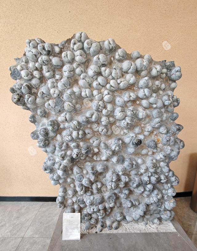 打卡云南高原明珠——美丽的抚仙湖