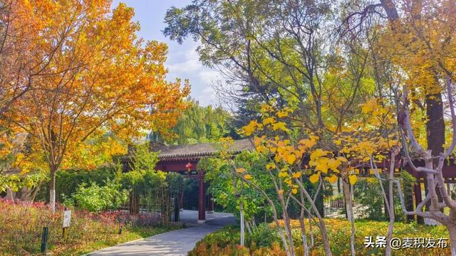 【东方微笑 多彩麦积】摄影师看麦积 | 马跑泉公园冬日风光美