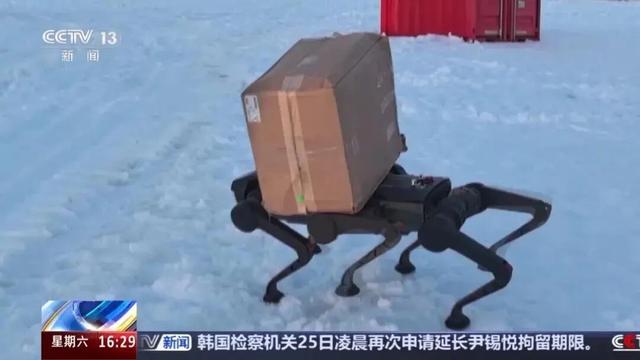 连续三年获认可！联想晨星六足机器人入选上海智能机器人标杆推荐