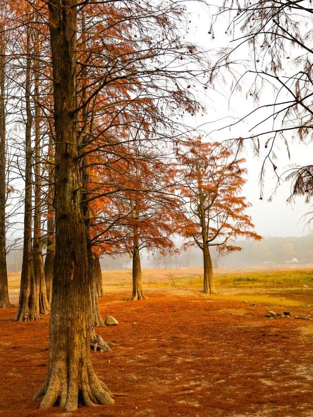 天空之镜，奇墅之秋 | 皖美冬日 | 第十五届安徽国际文化旅游节