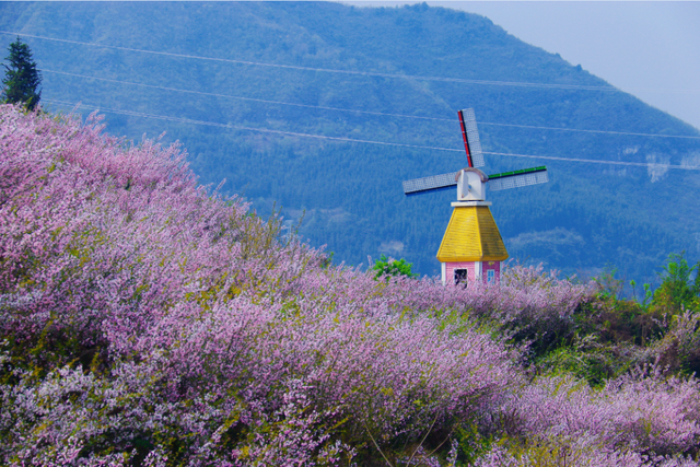 放春假啦，桐梓春日玩法上新，等你去解锁