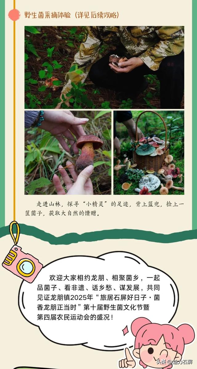 “菌子之约”——石屏龙朋镇野生菌文化节暨农民运动会活动日程来啦！