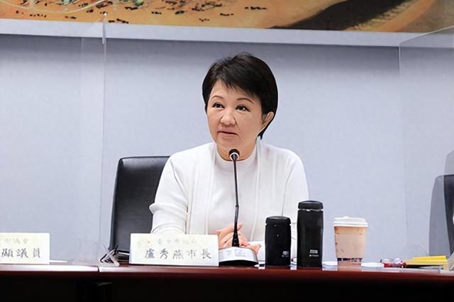 郑丽文：卢秀燕不选 我一定选到底