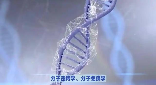 2025年诺贝尔生理学或医学奖揭晓：为攻克自身免疫病开启新篇章