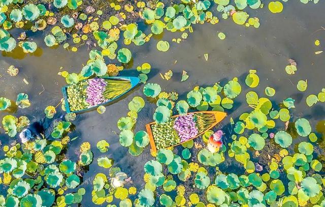 保定凭什么被称为京津冀的"隐藏宝地"？本地人说出了真相