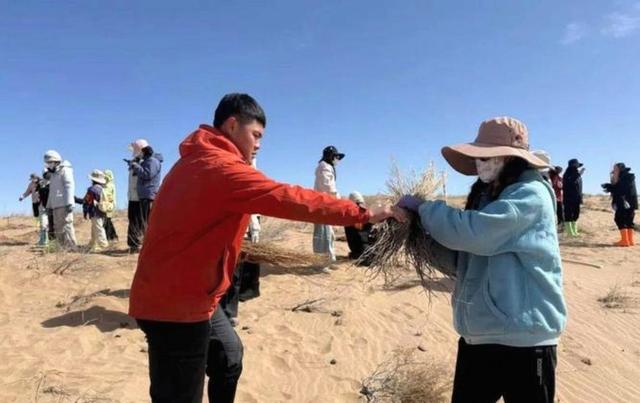 美国专家：这县城必成罗布泊！4万年轻姑娘不信邪，直接杀到沙漠