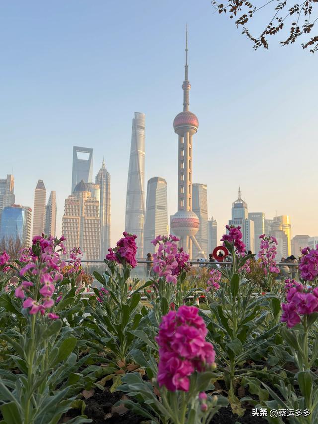 在北外滩，与圣诞和黄浦江撞个满怀