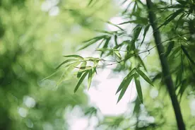 认清一个人，3点就够了，绝对靠谱！图片