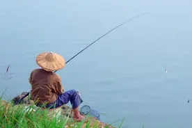 为何你用玉米从没钓到鱼？不是因为玉米效果差，而是钓错了！图片