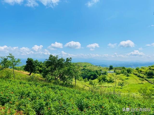 夫妻到晚年还挤一张床的，多半都是这三类人	，你是哪一类呢？