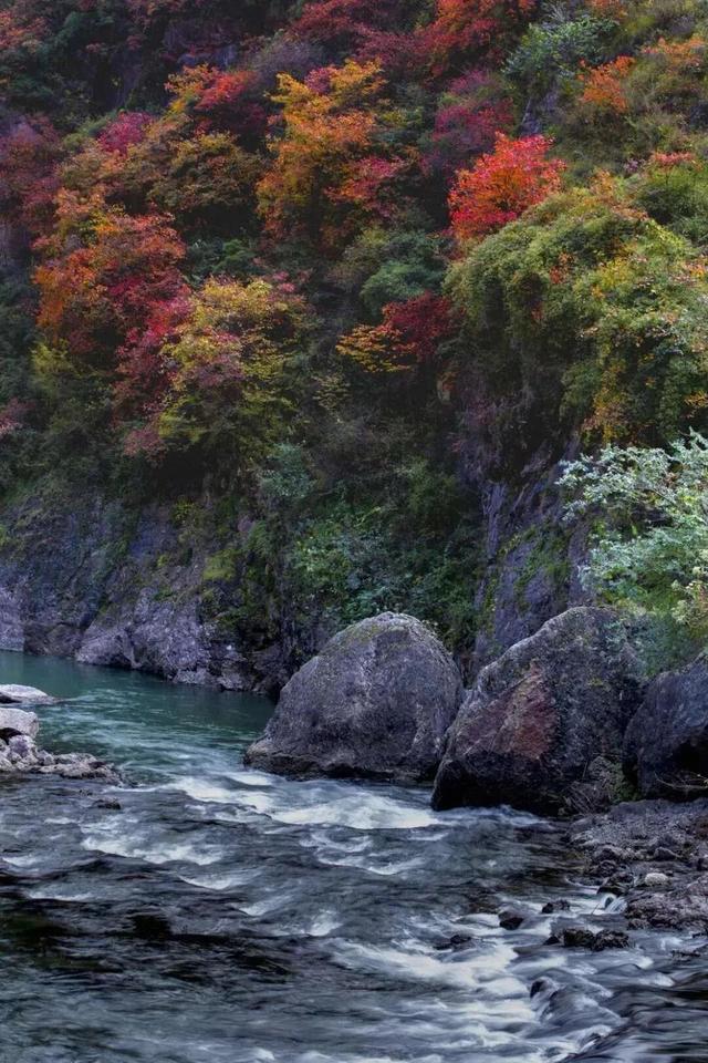 人间仙境！徽县三滩，这里的风光每一帧都能当屏保！