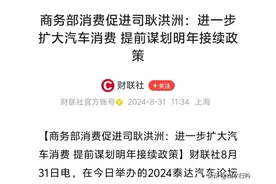 预计2025年会延续汽车报废补贴、以旧换新补贴！因为有3个新动向图片