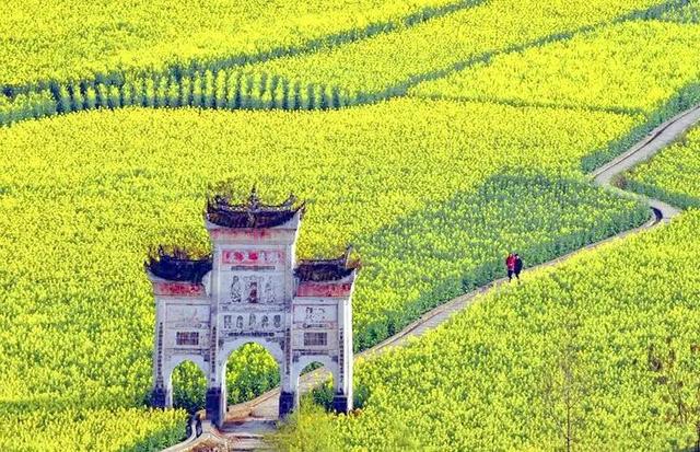 春假出逃计划 │ 从指尖绿意到星空露营，开启春日黔北茶韵之旅！