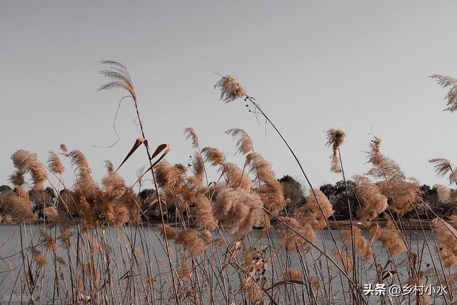 “最怕冬至是晴天”，明日冬至，晴天有啥预兆？看农谚咋说