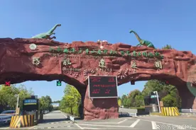 中国十大恐龙博物馆：探寻中国恐龙足迹，这些地方不容错过！图片