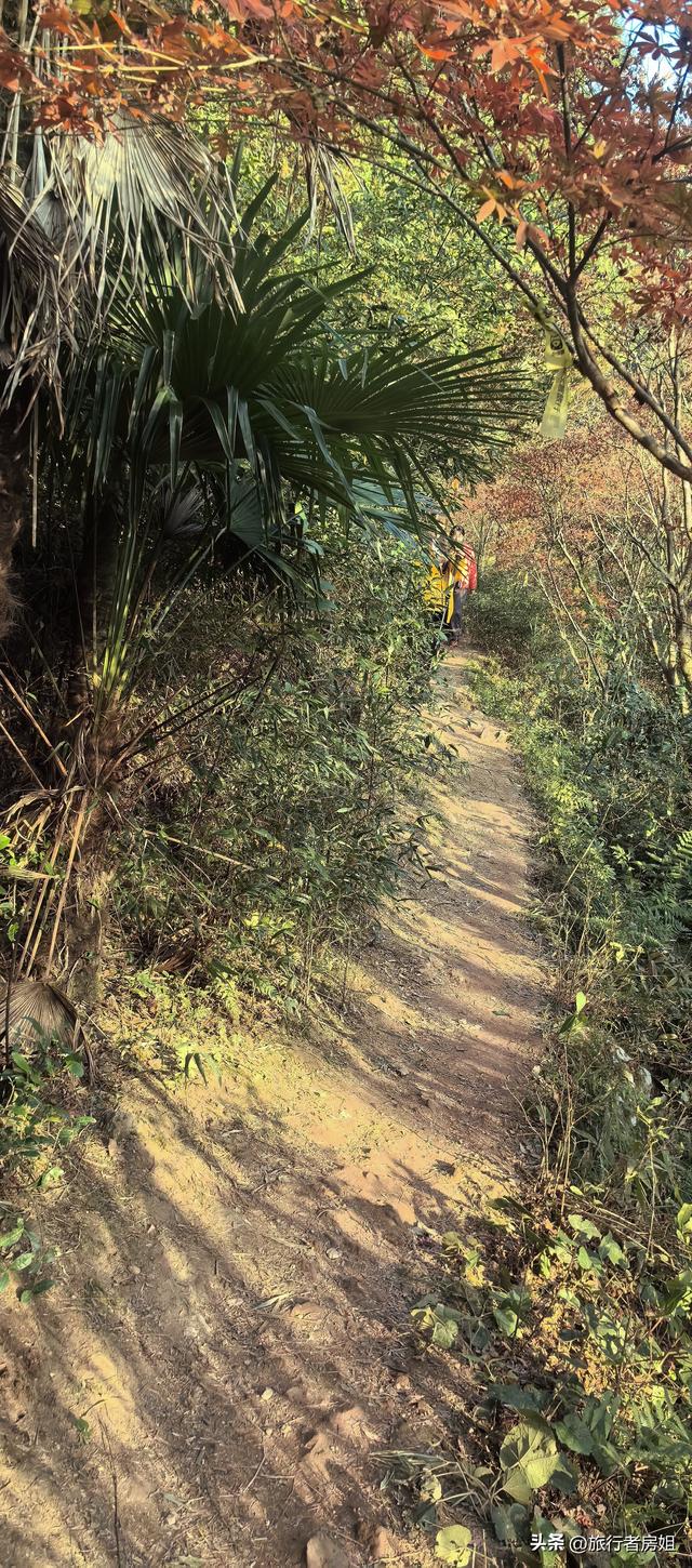 真是醉了，徒步奉化东西岙徐凫岩看悬崖飞瀑堵人竟然堵到怀疑人生