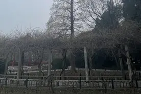 中原区碧沙岗公园图片