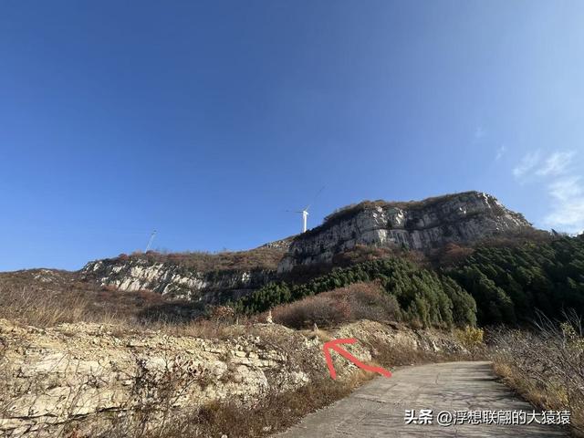 游赏过九鼎山后，我又跑到一户院里“强买”了大爷种在路边的白菜