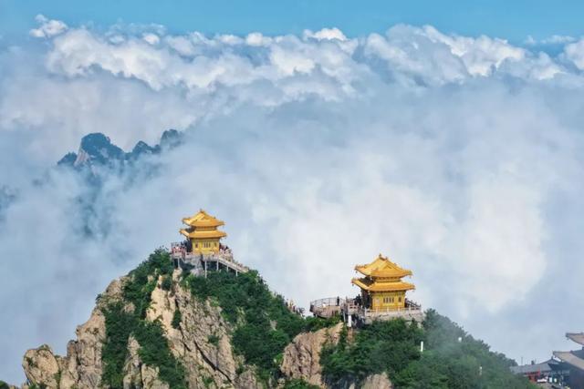 老君山：末伏“蒸笼”秒变“清凉仙境”