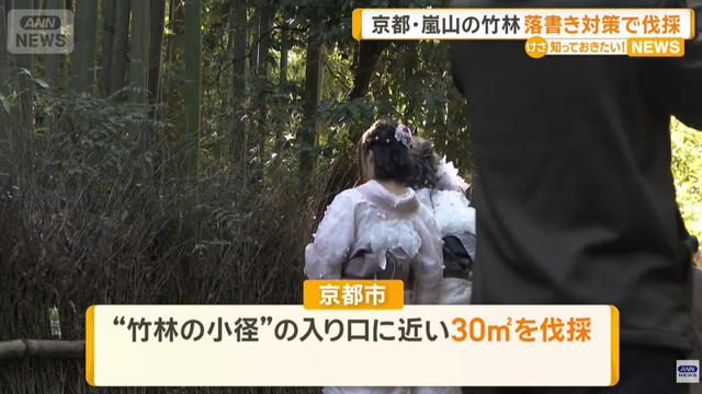 日本网红打卡地快被外国游客 “霍霍” 没了？京都岚山被逼砍竹林！