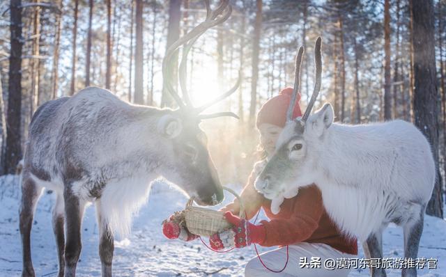 🔥漠河3天2晚封神攻略！打卡中国最北，泼水成冰+驯鹿互动！